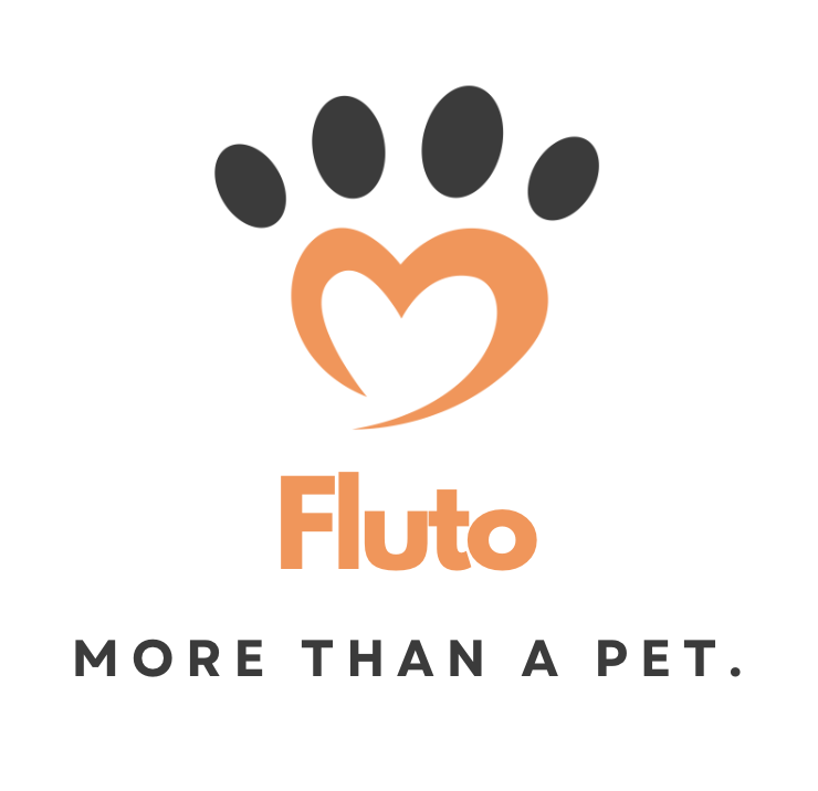 fluto