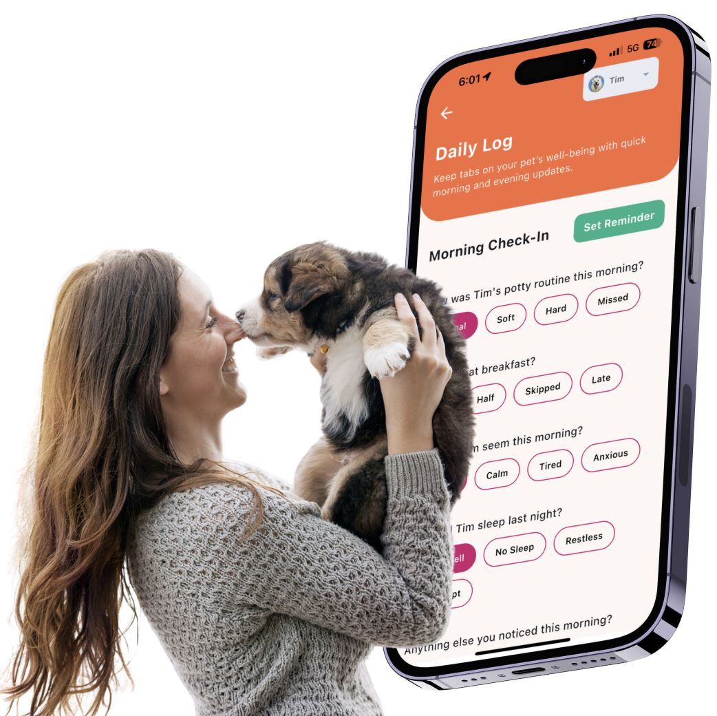 fluto waitlist