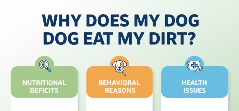 why does my dog eat dirt