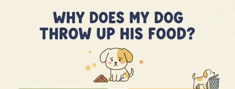 why does my dog throw up his food