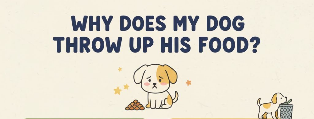 why does my dog throw up his food