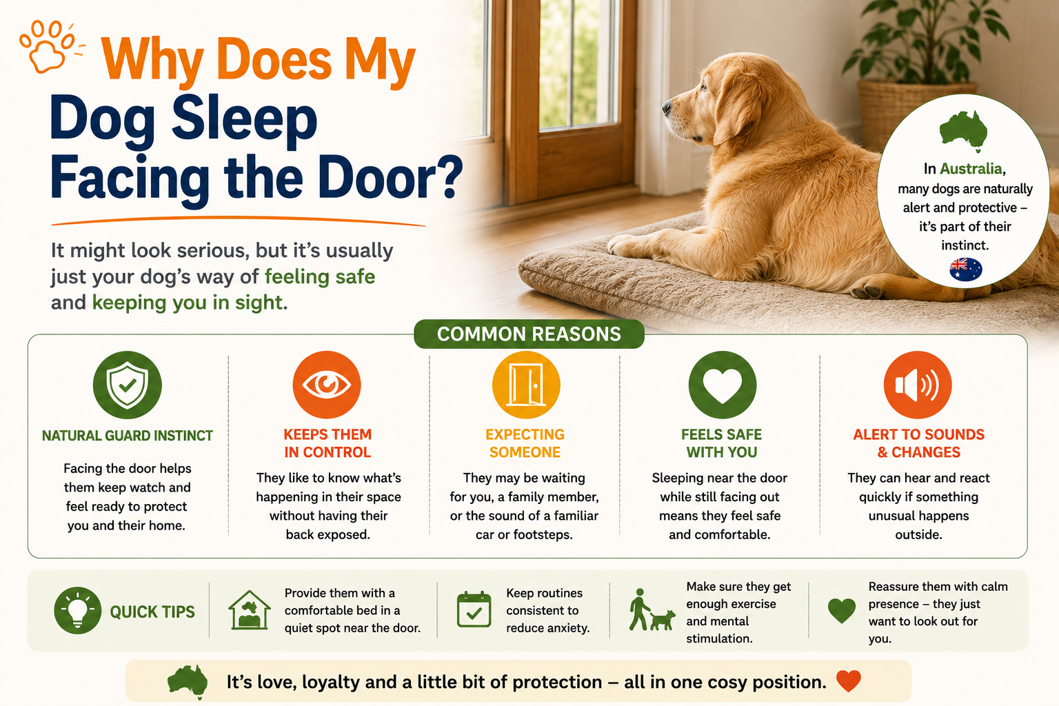 why does my dog sleep facing the door? 